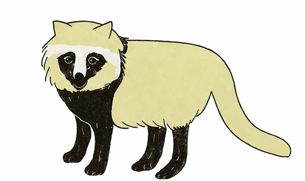 ハクビシン講座イメージ