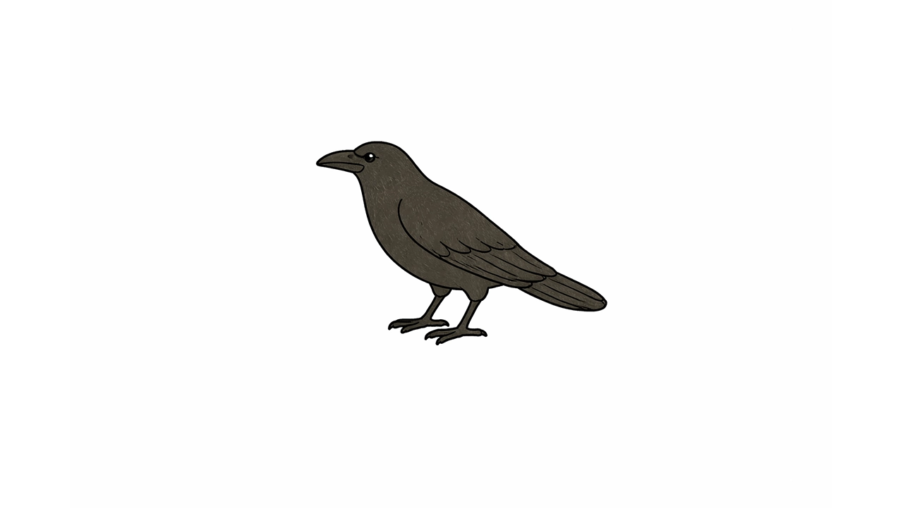 鳥類