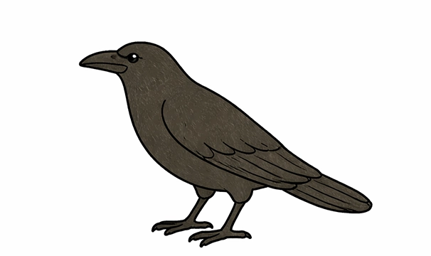鳥類講座イメージ